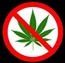 No pot